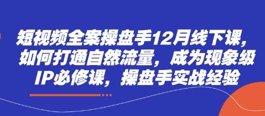 短视频全案操盘手12月线下课，如何打通自然流量，成为现象级IP必修课，操盘手实战经验-米创网