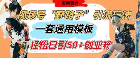视频号“野路子”玩法，评论区疯狂截流，一套模板单日单号引流50+创业粉-米创网