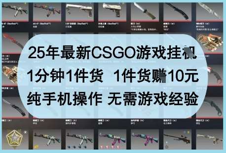 25年最新CSGO游戏挂G，1分钟1件货，1件货挣10元，纯手机操作，无需游戏经验【揭秘】-米创网