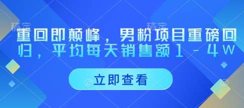 重回即颠峰，男粉项目重磅回归，平均每天销售额1-4W-米创网