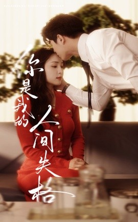 你是我的人间失格（60集）左铭＆宋彧佳 (2025)-58创网