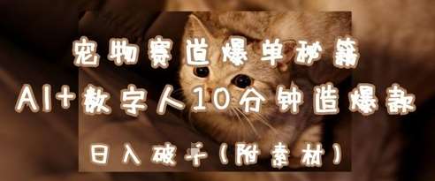 宠物赛道爆单秘籍：AI+数字人10分钟造爆款，日入1k-米创网