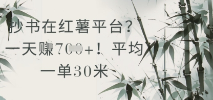 抄书在小红薯平台？平均一单30米，一天收益几张！-米创网