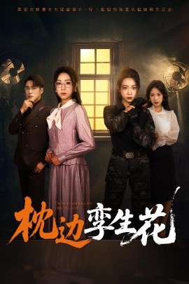 枕边孪生花（50集）张宇翔&周玉玲 (2025)-58创网