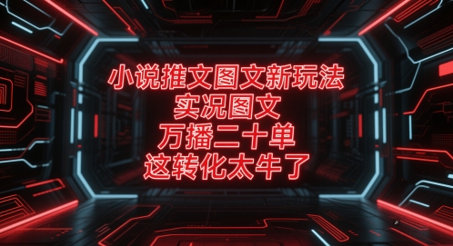 小说推文图文新玩法，实况图文，万播二十单，这转化太牛了！-米创网
