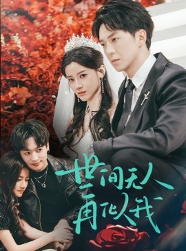 世间无人再似我（32集）贡兴＆游雅 (2025)-米创网