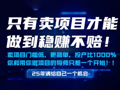只有卖项目才能做到稳挣不赔，门槛低，更简单，你也可以年入百个W【揭秘】-米创网