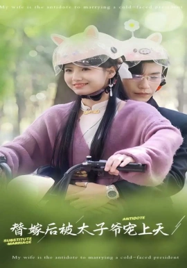 替嫁后被太子爷宠上天（80集）王槿&沉思 (2025)-58创网