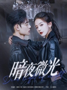 暗夜微光（86集）张力壬&徐波滴 (2025)-多米网络