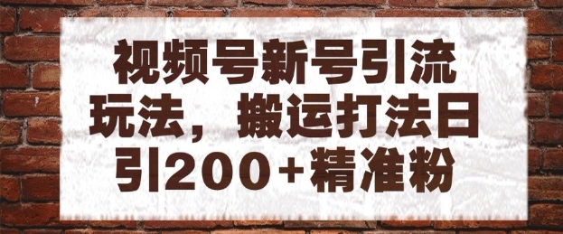 视频号新号引流玩法，搬运打法日引200+精准粉，可矩阵放大【揭秘】-米创网