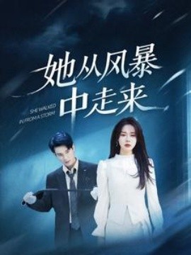 她从风暴中走来（60集）孙博文＆路文卓 (2025)-多米网络