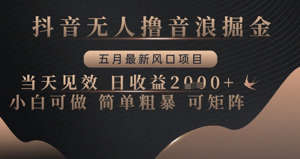 抖音无人撸音浪掘金，五月最新风口项目，当天见效，日收益多张，小白可做简单粗暴可矩阵【揭秘】-58创网