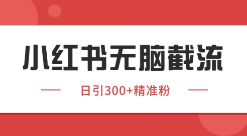 小红书截流同行客源，独家野路子获客玩法 日引200+暴力获客【揭秘】-米创网