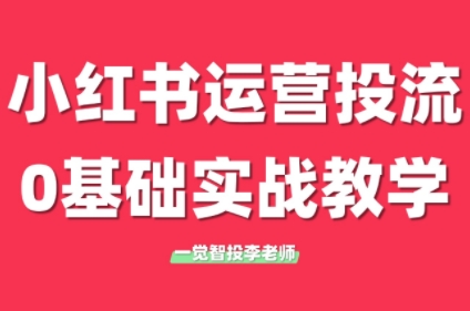 李老师·小红书运营投流，0基础实战教学(更新)-米创网