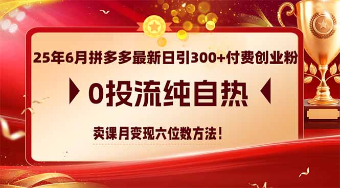 25年6月拼多多最新日引300+付费创业粉，0投流纯自热 卖课月变现六位数方法-米创网