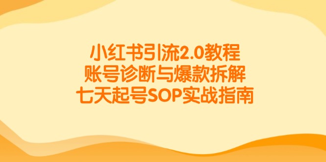 小红书引流2.0教程，账号诊断与爆款拆解，七天起号SOP实战指南-米创网