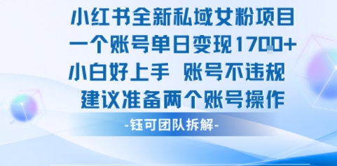 小红书全新私域女粉项目 单日变现1k+ 小白好上手账号不违规-申水仓