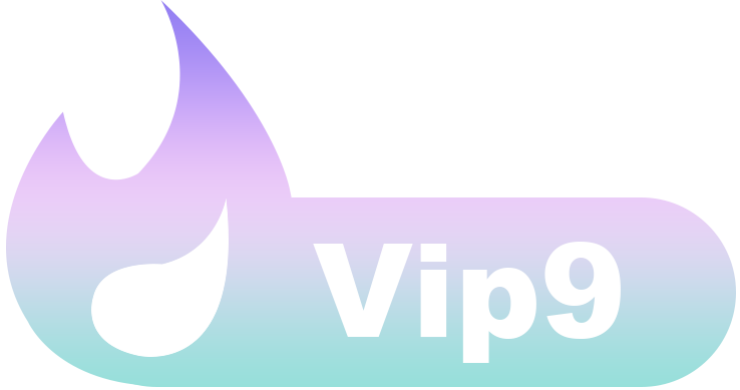 VIP9 等级-VIP9-申水仓