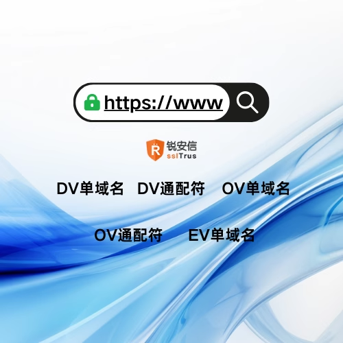 通配符SSL证书 域名OV EV 企业级 兼容阿里云华为云 全站https-申水仓