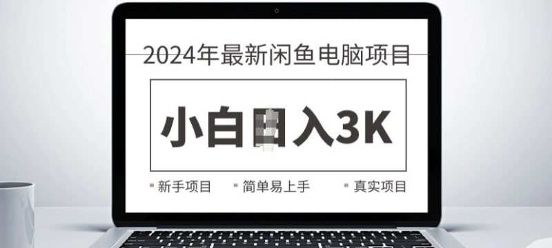 2024最新闲鱼电脑项目,动手就能吃肉的好项目-申水仓