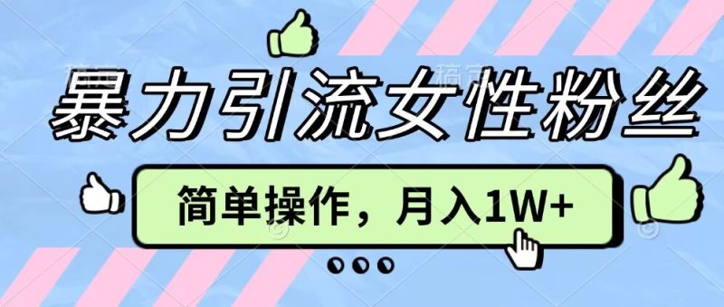 操作“零难度”小众项目,疯狂引流女性粉丝,月入轻松破 1W+-申水仓