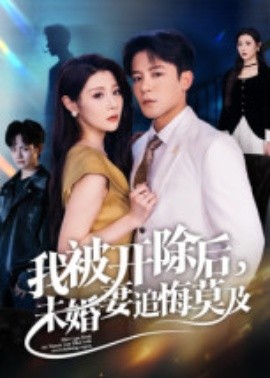 我被开除后，未婚妻追悔莫及（63集）丁敬一 (2025)-申水仓