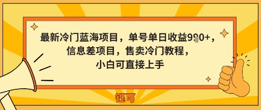 最新冷门蓝海项目,单号单日收益多张,信息差项目,售卖冷门教程,小白可直接上手-申水仓